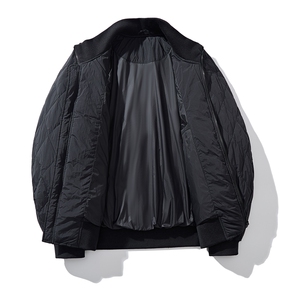 男士短款立领羽绒服外套D213-2188-P320