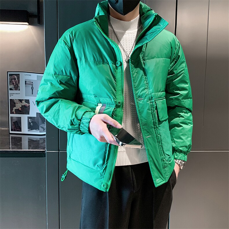 立领款白鸭绒新标50绒保暖休闲大口袋款B226-9008-P195,男装棉衣,电商A210