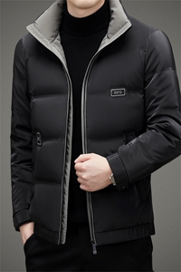 BAMJ-8913钱塘2020-2中年男士冬季厚款商务休闲简约羽绒服P225图片