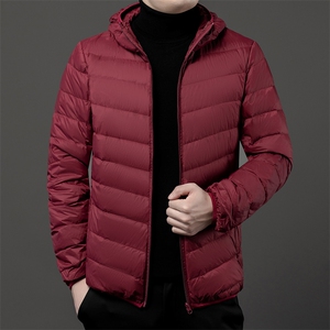 秋冬季大码男轻便棉服连帽短款保暖简约休闲运动薄款简约男士图片