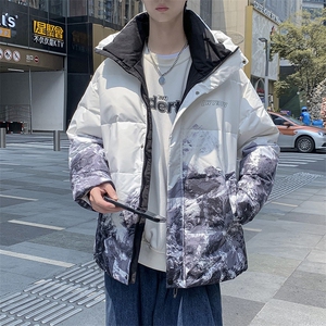 现货 外贸侧飞图立领光板团体服班服宽松韩版情侣学生外套羽绒服图片