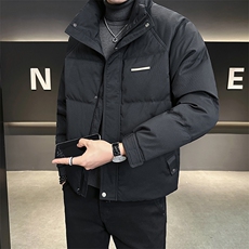 男士羽绒服2024新款冬季简约潮牌立领男装外套A313-8636-P225，男装羽绒服，电商A313