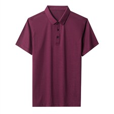 2023夏季新款潮流宽松翻领棉质半袖体恤衫中青年男装上衣服打底衫，男装T恤，电商B212（原钱塘6029）