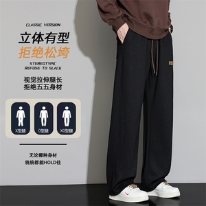 休闲裤子男士秋季2025新款宽松直筒卫裤百搭阔腿长裤Z6915-P40图片