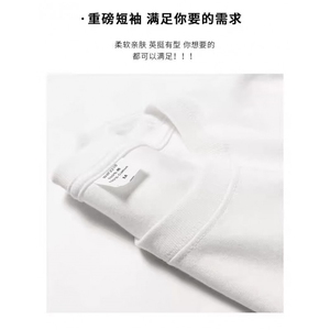 1506-1/TN561/P30 诗丹帝短袖t恤新款夏季设计感小众潮牌圆领图片