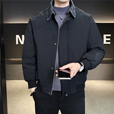 标50绒羽绒服男冬季2025新款可拆卸翻领外套A313-25661-P205，男装羽绒服，电商A313