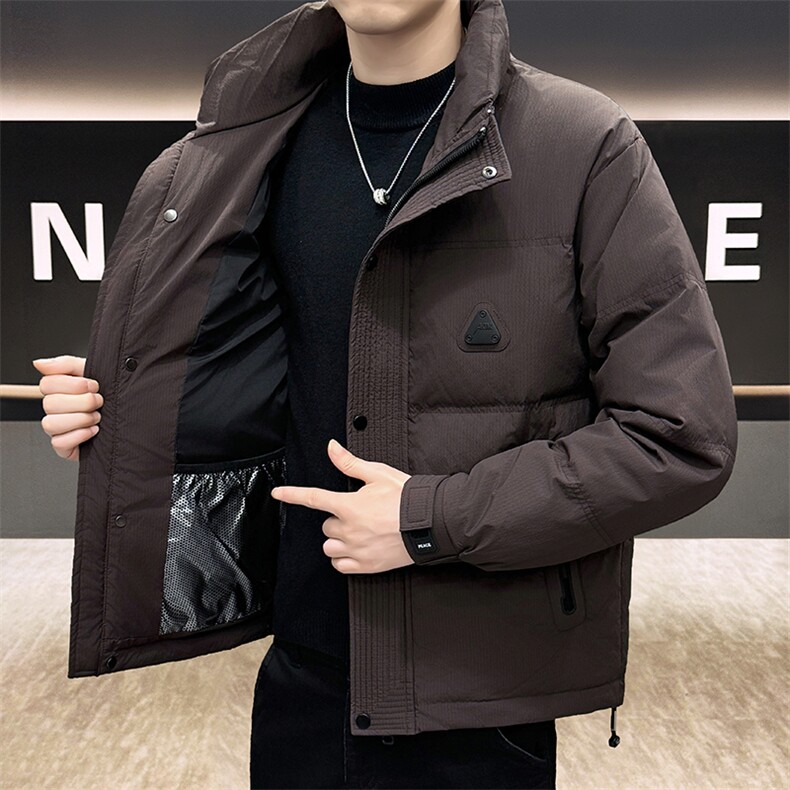 DS-A225标50冬季新款男士立领内衬石墨烯白鸭绒羽绒服3139P165，男装羽绒服，电商A225