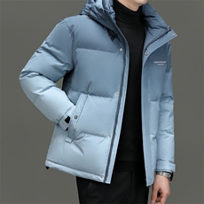 DF318331钱塘2020-2商务休闲立领百搭简约中年男士羽绒服P283，男装羽绒服，钱塘207-2