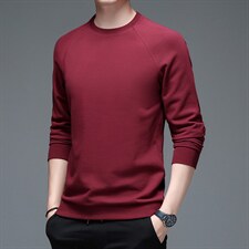 FL-D07男式2023春季新款长袖T恤男休闲男装卫衣P60图片