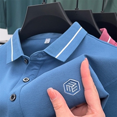 长袖t恤男士春秋季新款翻领polo衫丝光棉男装秋冬款打底衫上衣服，男装T恤，电商B212（原钱塘6029）