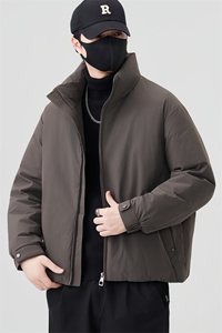 2025男士新款加厚羽绒服 实体 90白鸭绒新标图片