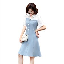 2021夏季新款简约气质小翻领时尚优雅修身显瘦连衣裙，女装连衣裙，艾尚靓装