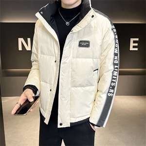 2025冬季新标90白鸭绒高品质店主风拼色立领羽绒服男23818-P280图片