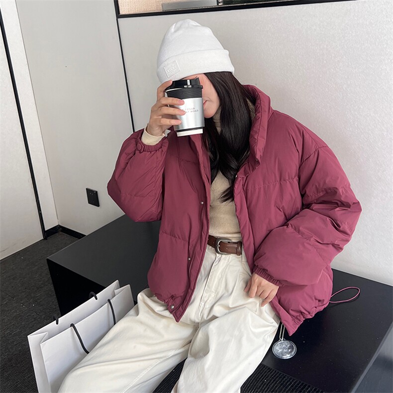2023冬季新款时尚休闲立领羽绒服,女装羽绒服,阿舍尔精品