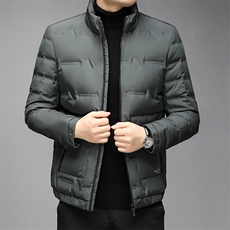 冬季厚款立领羽绒服中青年男士休闲潮流宽松保暖外套GR69180-P275，男装羽绒服，电商B212（原钱塘6029）