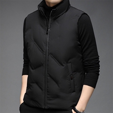 F81500白鸭绒90精品时尚休闲立领简约中青年男士冬季羽绒马甲，男装背心/马甲，钱塘207-1