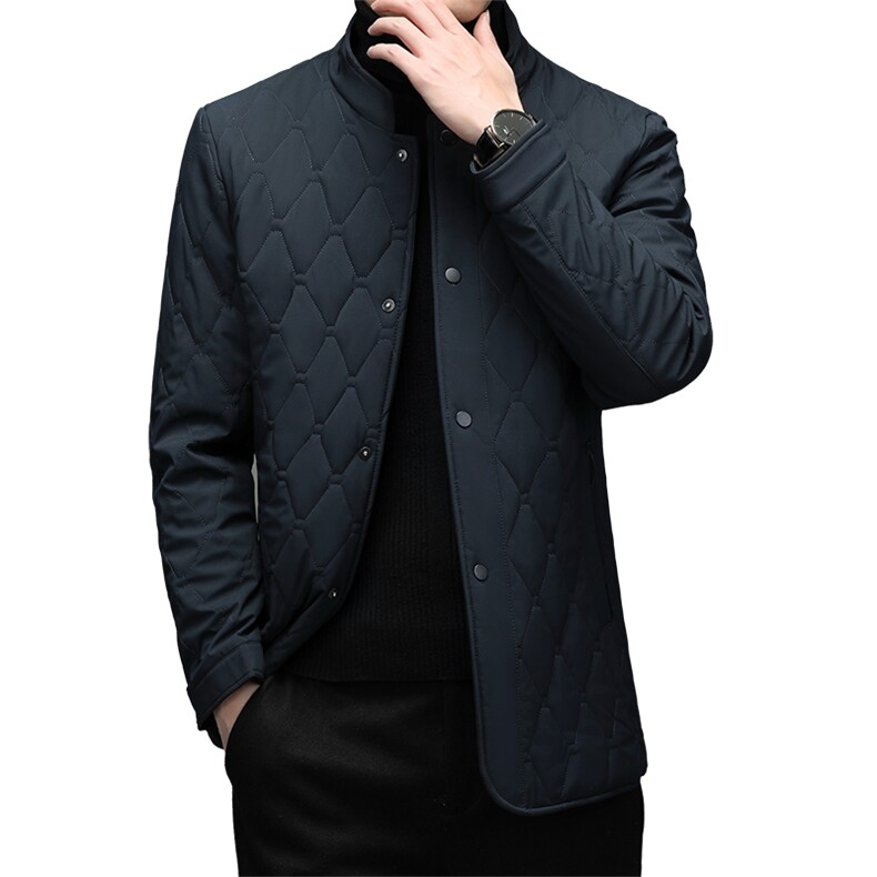 冬季外套男2022棉服男立领棉衣商务休闲中年加厚棉袄保暖外套,男装棉衣,电商B212（原钱塘6029）