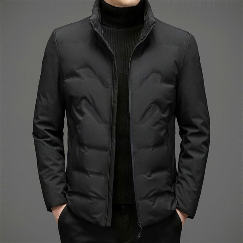 羽绒服外套男立领商务休闲中年男装冬季中老年爸爸装ZL6107-P195，男装羽绒服，电商B212（原钱塘6029）