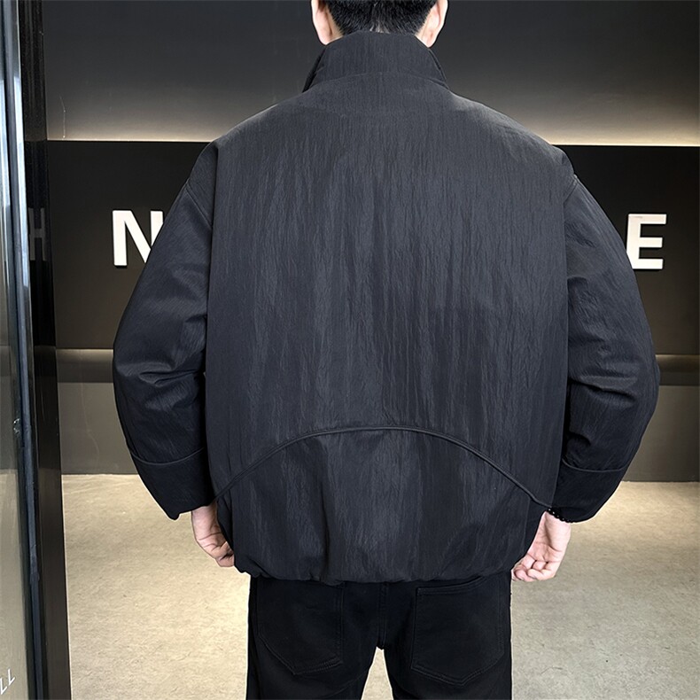 新标902025新款潮流保暖宽松立领白鸭绒羽绒服5875-P255,男装羽绒服,电商A413