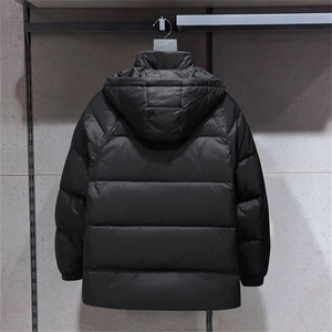 现货 外贸侧飞图立领光板团体服班服宽松韩版情侣学生外套羽绒服图片