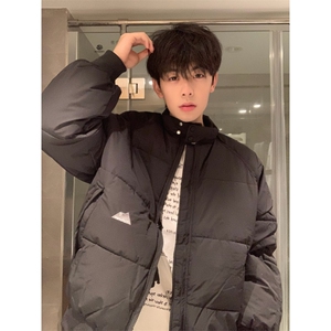 A452-P88 立领棉衣棉服冬季纯色百搭宽松保暖厚外套男女同款图片
