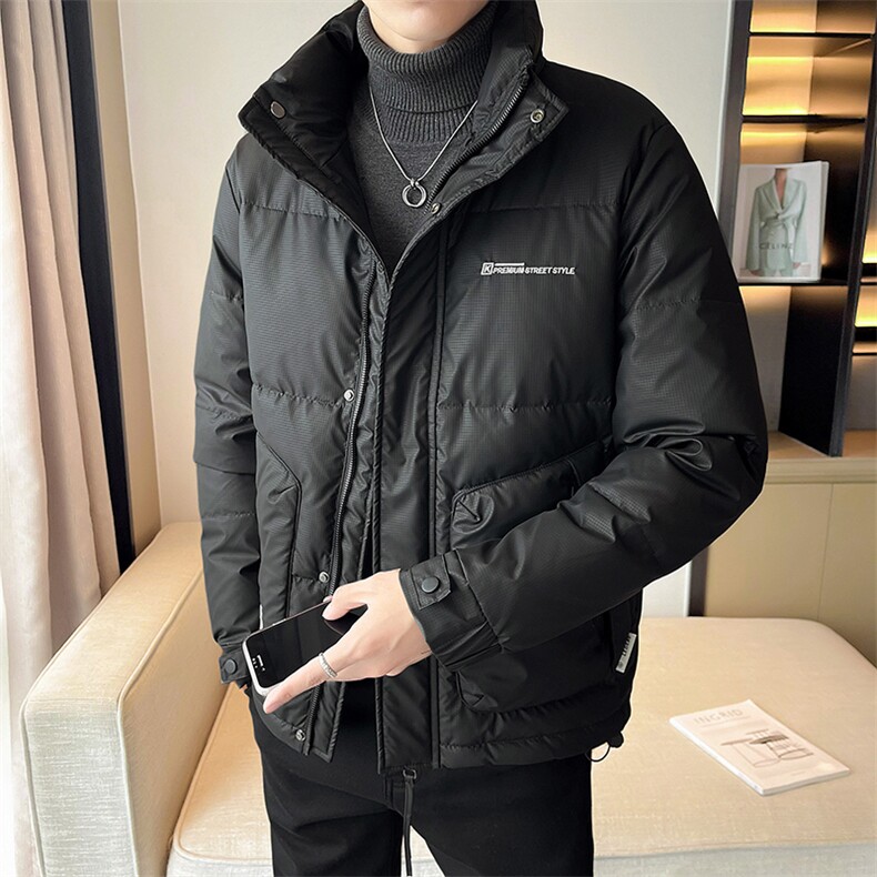 2025冬季店主风新款立领简约休闲羽绒服保暖外套男YR8106-P175图片