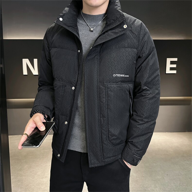 2025冬季DS-A225标新款男士立领白鸭绒羽绒服夹克885506-P150图片