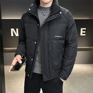 2025冬季DS-A225标新款男士立领白鸭绒羽绒服夹克885506-P150图片