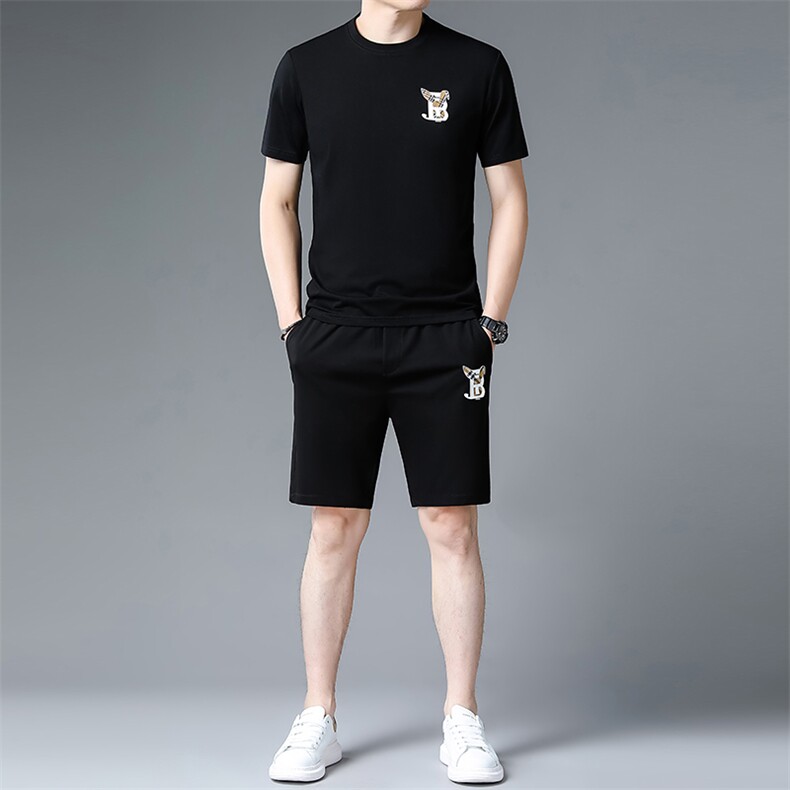 C231117钱塘2020-2夏季新款男士休闲运动套装时尚潮流两件套P116，男装休闲套装，钱塘207-2