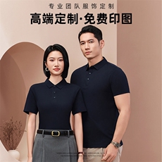 2025春季翻领工作服T恤纯色定制2299-p65，男装T恤，星座1602B（原101B-1）