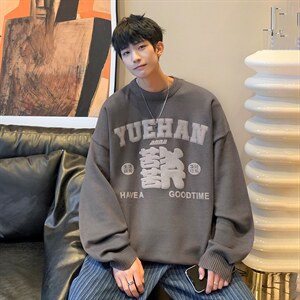 抖音供货、现货气泡秋冬圆领毛衣宽松打底衫 D223A-MY2208-P55图片