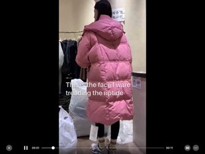 雪梨款图片