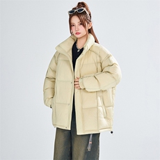 标90绒现货(有报告）情侣同款羽绒服C323-1-YR8900-P225，男装羽绒服，电商C323-1