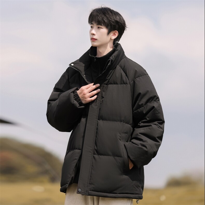 新标白鸭绒立领假两件羽绒服时尚休闲简约百搭外套BL0620-P248,男装羽绒服,电商B306