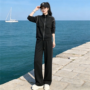 欧货时尚休闲运动套装秋季新款女双口袋立领卫衣直筒长裤两件套潮图片