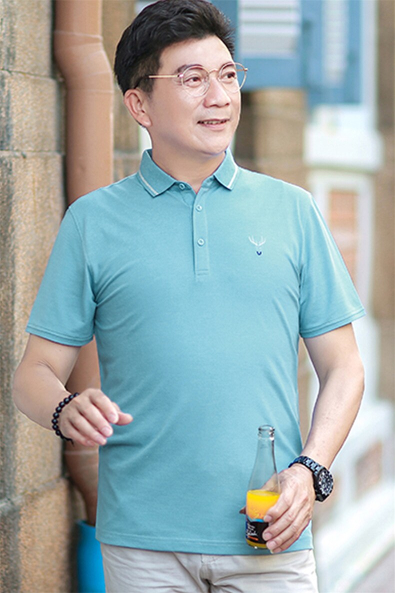 男士短袖T恤保罗polo衫2023夏季新款中年休闲男装半袖翻领体恤衫,男装Polo衫,电商B212（原钱塘6029）
