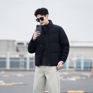 7729-L-4XL-P215-标50绒社会小伙男士休闲立领纯色百搭羽绒服图片