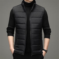 秋冬季马甲男士潮保暖休闲百搭外套立领宽松棉服SNNMJ81865-P100，男装背心/马甲，电商B212（原钱塘6029）