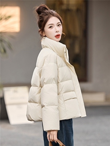 简约时尚潮流羽绒服休闲显瘦减龄冬季立领纯色女外套图片