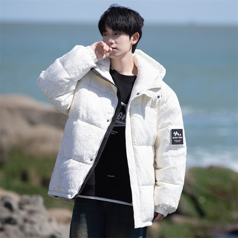 新标90白鸭绒连帽羽绒服时尚休闲简约百搭外套BL0617-P268，男装羽绒服，电商B306