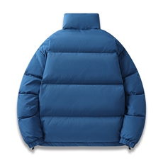 新标白鸭绒简约休闲立领外套纯色潮流加厚羽绒服ESY0215-P150，男装羽绒服，电商B306