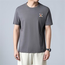 男士冰丝短袖T恤2023夏新款简约商务休闲修身体恤INS，男装T恤，电商B212（原钱塘6029）