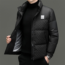 DF8807钱塘2020-2时尚休闲冬季厚款奶德那男士简约羽绒服P275，男装羽绒服，钱塘207-2
