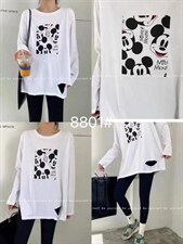 白丅，其它，IEC