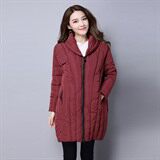 直筒中长款口袋长袖拉链纯色棉衣/棉服时尚韩版2020年冬季，女装棉衣/棉服，独衣靓
