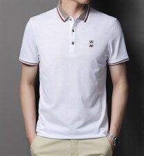 夏季新款男士翻领短袖t恤中年有领男装上衣服休闲POLO衫，男装T恤，电商B212（原钱塘6029）