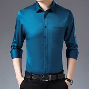 DN5081男式服装秋新款衬衫男长袖翻领休闲四季可穿衬衣P58图片