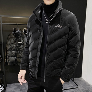 2067 90%白鸭绒高档男士休闲立领羽绒服保暖防寒轻薄羽绒开衫潮男图片