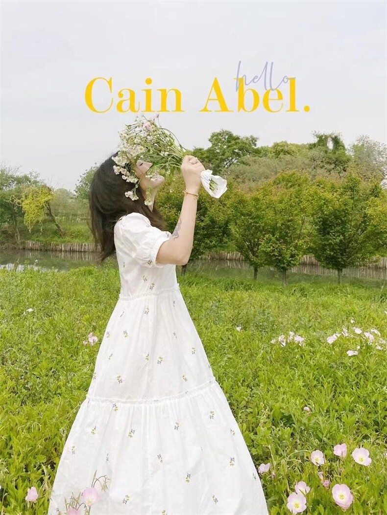 清新连衣裙，女装连衣裙，昕闻