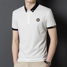 2023夏季新款短袖T恤男薄款翻领男装青年男士休闲潮流体恤polo衫，男装T恤，电商B212（原钱塘6029）